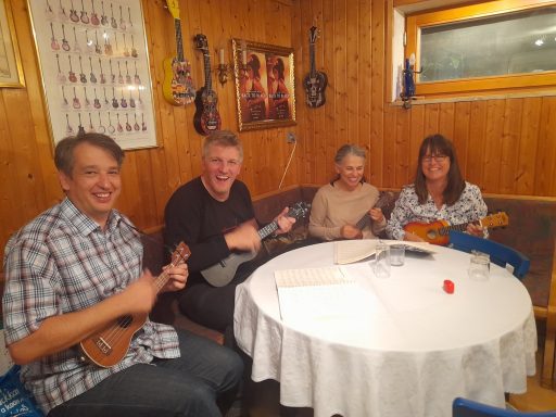 Ukulele spielen in Ingolstadt